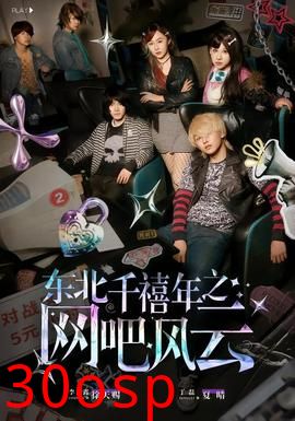 东北千禧年之网吧风云