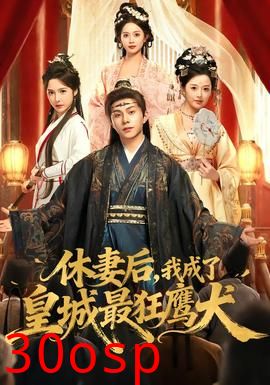 休妻后，我成了皇城最狂鹰犬