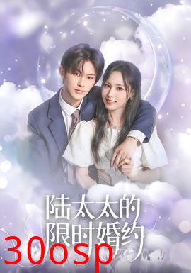陆太太的限时婚约