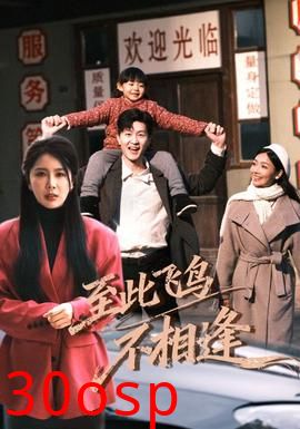 到此飞鸟不相逢