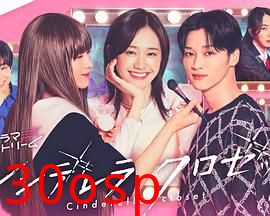 灰姑娘的魔法衣橱