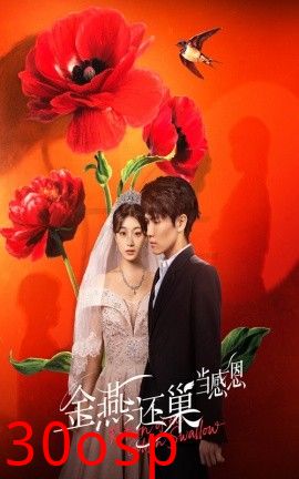 金燕还巢当感恩