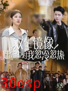 双生镜像陆先生对我忽冷忽热