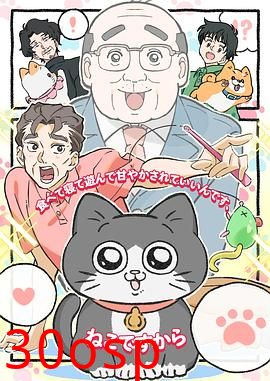 转生成猫的大叔