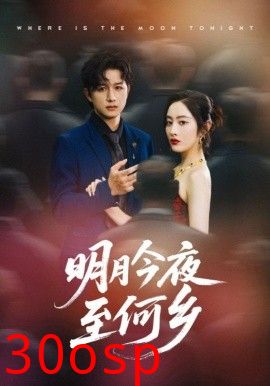 明月今夜至何乡