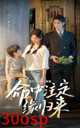 命中注定缘归来