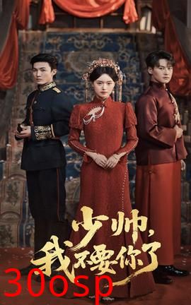 少帅我不要你了