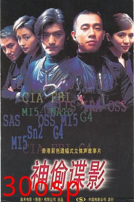 神偷谍影国语