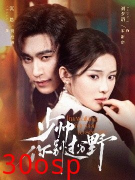 少帅你别过分野