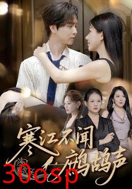 寒江不闻鹧鸪声