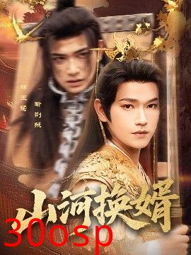 山河换婿&和离后我君临天下