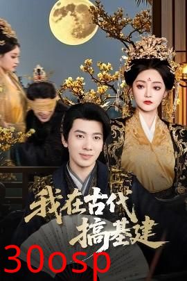 我在古代搞基建