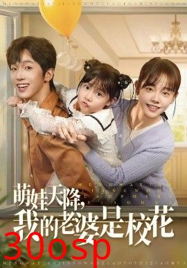 萌娃天降我的老婆是校花