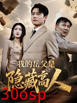 我的岳父是隐藏高人