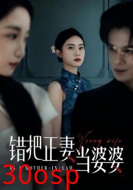 错把正妻当婆婆