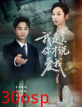 我走了你才说爱我