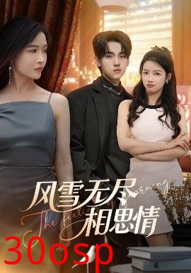 风雪无尽相思情