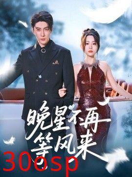 晚星不再等风来