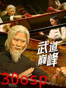武道巅峰