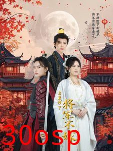 启禀陛下将军不嫁