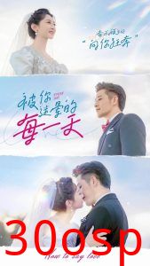 被你迷晕的每一天