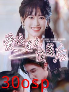 爱在星光陨落后