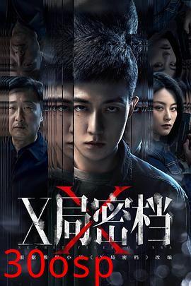 X局密档