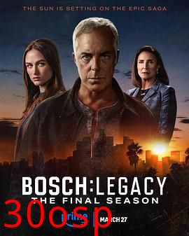 博斯：传承第三季