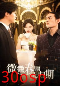 微微春雨无归期