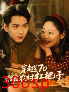 穿越70我在农村扛把子