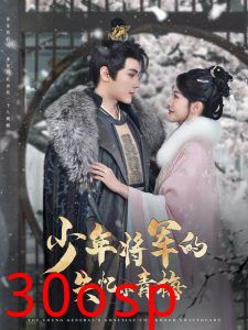 少年将军的失忆小青梅