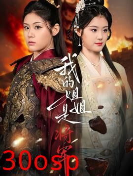 我的姐姐是将军