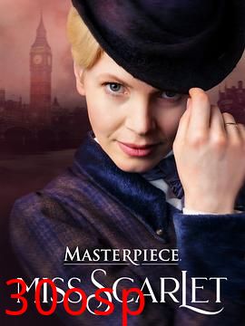 斯嘉丽小姐探案集第五季