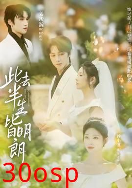 此去半生皆明朗