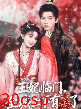 王妃临门全城上下有喜了