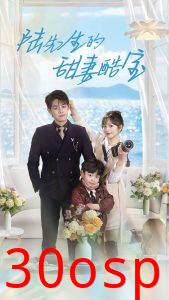 陆先生的甜妻酷宝