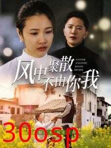 风中聚散不由你我