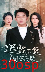 迟雪不复旧云深