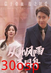 从此风雨不同舟