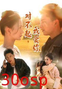 对不起我爱你35集