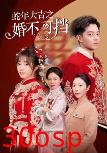 蛇年大吉之婚不可挡