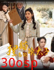 狸猫焉能换太子