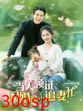 当天领证闪婚陆少追妻忙