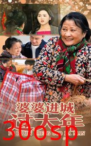 婆婆进城过大年