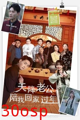 天降老公陪我回家过年