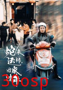 蛇来运转回家过年