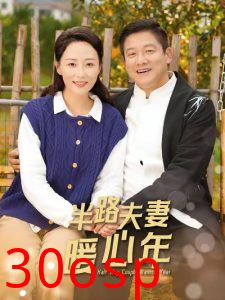 半路夫妻暖心年