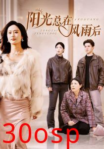 阳光总在风雨后短剧