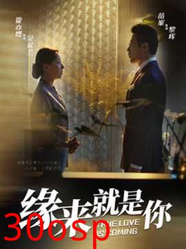 缘来就是你64集