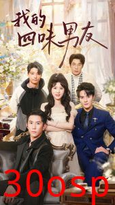我的四味男友